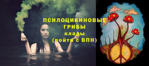 крисы Бородино