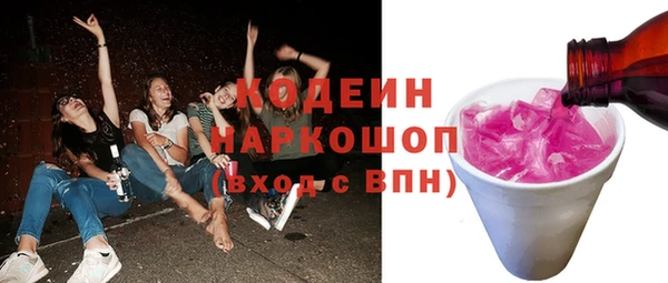 крисы Бородино