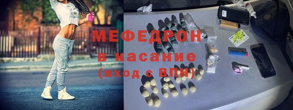 крисы Бородино