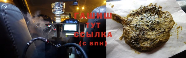 индика Верея