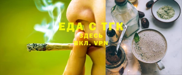 крисы Бородино
