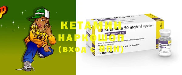 крисы Бородино