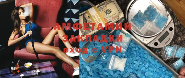 крисы Бородино