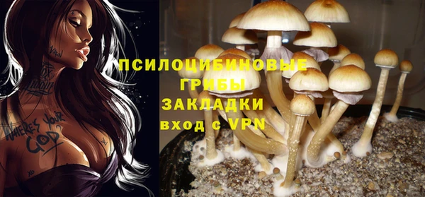 шишки Бугульма