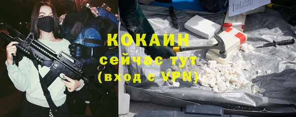 индика Верея