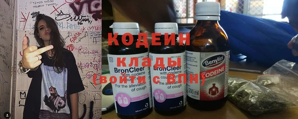 индика Верея