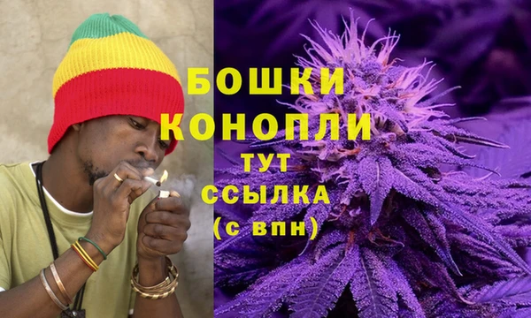 шишки Бугульма