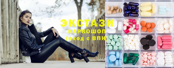 крисы Бородино