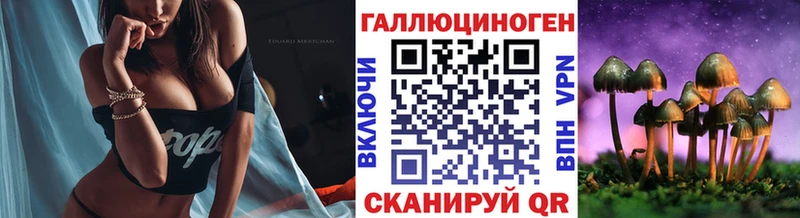 купить   Вытегра  Псилоцибиновые грибы мухоморы 