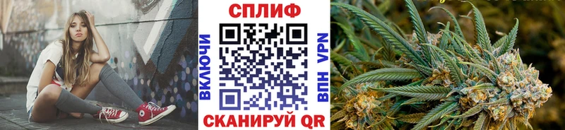 Конопля Bruce Banner  Вытегра 